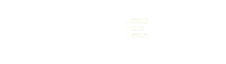 Truechip